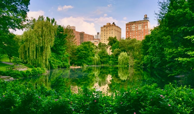 The lush green trees and flowers of Central Park in New York City